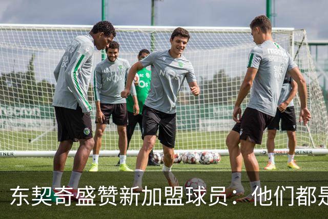东契奇盛赞新加盟球员：他们都是无畏的低估者